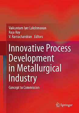 Livre Relié Innovative Process Development in Metallurgical Industry de 