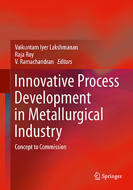 eBook (pdf) Innovative Process Development in Metallurgical Industry de 