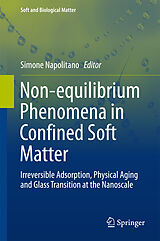 eBook (pdf) Non-equilibrium Phenomena in Confined Soft Matter de 