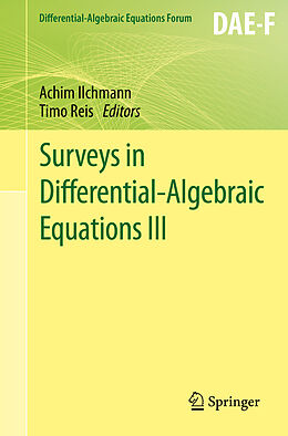 eBook (pdf) Surveys in Differential-Algebraic Equations III de 