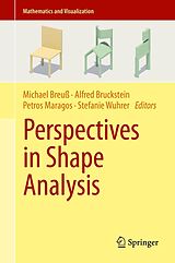 eBook (pdf) Perspectives in Shape Analysis de 