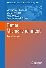 E-Book (pdf) Tumor Microenvironment von 