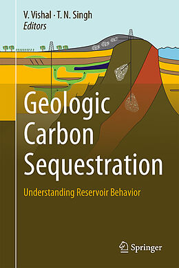 Livre Relié Geologic Carbon Sequestration de 