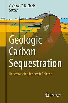 eBook (pdf) Geologic Carbon Sequestration de 