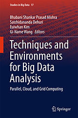 E-Book (pdf) Techniques and Environments for Big Data Analysis von 