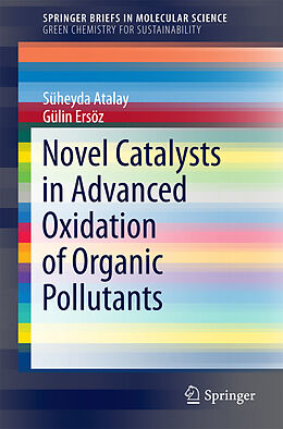 eBook (pdf) Novel Catalysts in Advanced Oxidation of Organic Pollutants de Süheyda Atalay, Gülin Ersöz