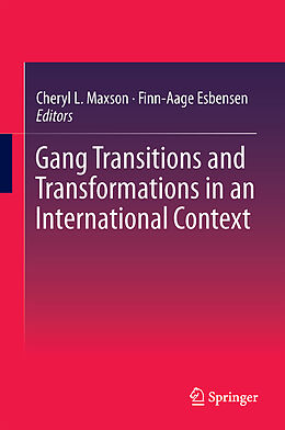 Livre Relié Gang Transitions and Transformations in an International Context de 