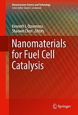 eBook (pdf) Nanomaterials for Fuel Cell Catalysis de 