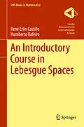 E-Book (pdf) An Introductory Course in Lebesgue Spaces von Rene Erlin Castillo, Humberto Rafeiro