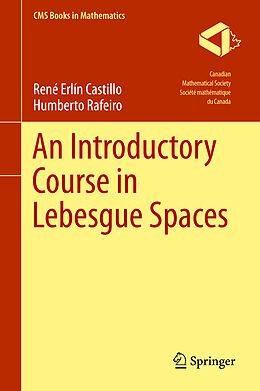 eBook (pdf) An Introductory Course in Lebesgue Spaces de Rene Erlin Castillo, Humberto Rafeiro