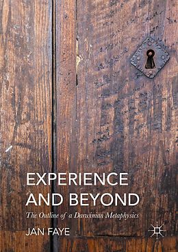 eBook (pdf) Experience and Beyond de Jan Faye