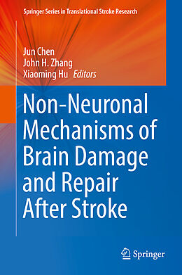 Fester Einband Non-Neuronal Mechanisms of Brain Damage and Repair After Stroke von 