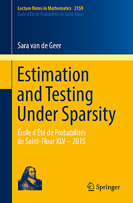E-Book (pdf) Estimation and Testing Under Sparsity von Sara van de Geer