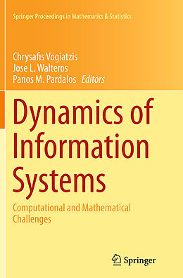 Kartonierter Einband Dynamics of Information Systems von 