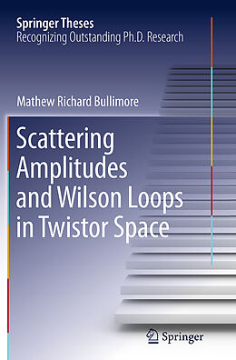 Kartonierter Einband Scattering Amplitudes and Wilson Loops in Twistor Space von Mathew Richard Bullimore