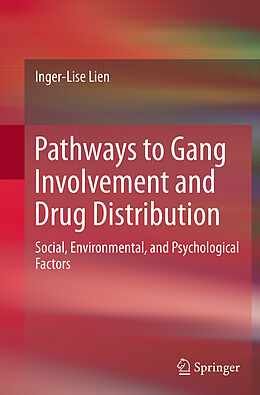 Couverture cartonnée Pathways to Gang Involvement and Drug Distribution de Inger-Lise Lien