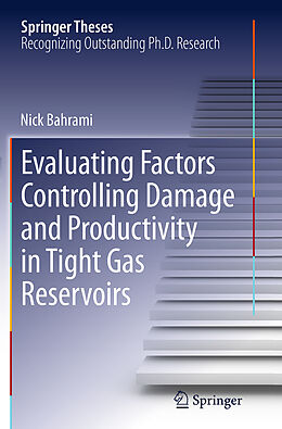 Kartonierter Einband Evaluating Factors Controlling Damage and Productivity in Tight Gas Reservoirs von Nick Bahrami