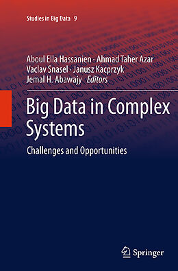 Kartonierter Einband Big Data in Complex Systems von 