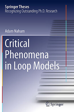 Kartonierter Einband Critical Phenomena in Loop Models von Adam Nahum