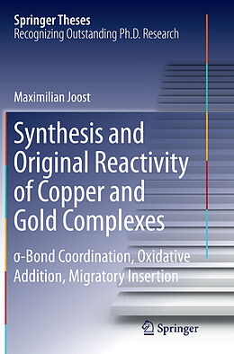 Kartonierter Einband Synthesis and Original Reactivity of Copper and Gold Complexes von Maximilian Joost