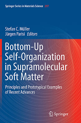 Kartonierter Einband Bottom-Up Self-Organization in Supramolecular Soft Matter von 