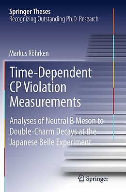 Kartonierter Einband Time-Dependent CP Violation Measurements von Markus Röhrken