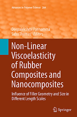 Kartonierter Einband Non-Linear Viscoelasticity of Rubber Composites and Nanocomposites von 