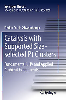 Kartonierter Einband Catalysis with Supported Size-selected Pt Clusters von Florian Frank Schweinberger