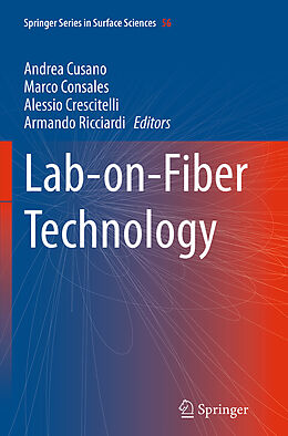 Kartonierter Einband Lab-on-Fiber Technology von 