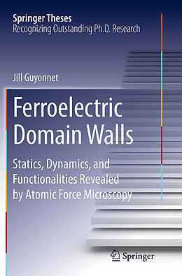 Kartonierter Einband Ferroelectric Domain Walls von Jill Guyonnet