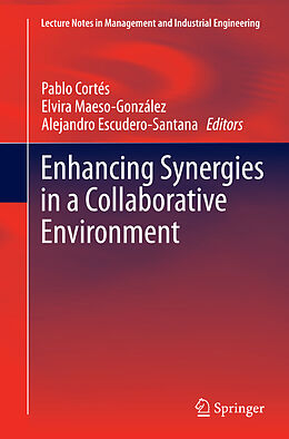 Kartonierter Einband Enhancing Synergies in a Collaborative Environment von 