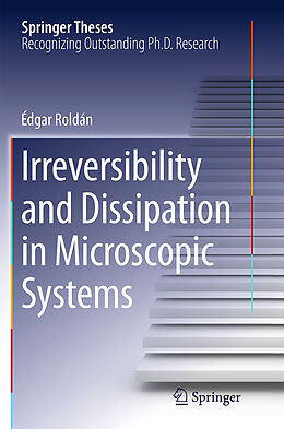 Couverture cartonnée Irreversibility and Dissipation in Microscopic Systems de Édgar Roldán