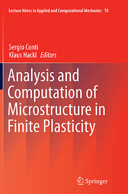 Kartonierter Einband Analysis and Computation of Microstructure in Finite Plasticity von 
