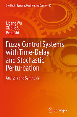 Kartonierter Einband Fuzzy Control Systems with Time-Delay and Stochastic Perturbation von Ligang Wu, Peng Shi, Xiaojie Su