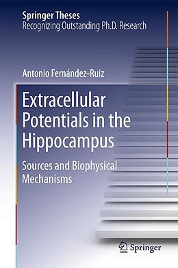 eBook (pdf) Extracellular Potentials in the Hippocampus de Antonio Fernández Ruiz