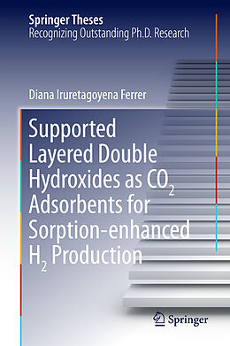 Livre Relié Supported Layered Double Hydroxides as CO2 Adsorbents for Sorption-enhanced H2 Production de Diana Iruretagoyena Ferrer