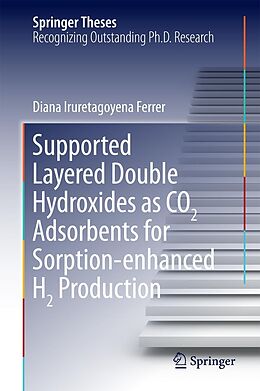 eBook (pdf) Supported Layered Double Hydroxides as CO2 Adsorbents for Sorption-enhanced H2 Production de Diana Iruretagoyena Ferrer