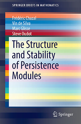 Kartonierter Einband The Structure and Stability of Persistence Modules von Frédéric Chazal, Vin de Silva, Marc Glisse