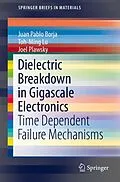 E-Book (pdf) Dielectric Breakdown in Gigascale Electronics von Juan Pablo Borja, Toh-Ming Lu, Joel Plawsky