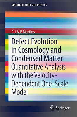 Kartonierter Einband Defect Evolution in Cosmology and Condensed Matter von C.J.A.P. Martins