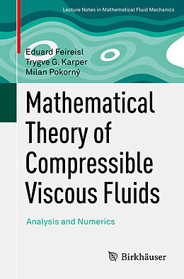 Kartonierter Einband Mathematical Theory of Compressible Viscous Fluids von Eduard Feireisl, Milan Pokorný, Trygve G. Karper