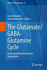 eBook (pdf) The Glutamate/GABA-Glutamine Cycle de 