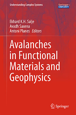 Livre Relié Avalanches in Functional Materials and Geophysics de 