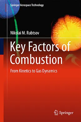 E-Book (pdf) Key Factors of Combustion von Nikolai M. Rubtsov