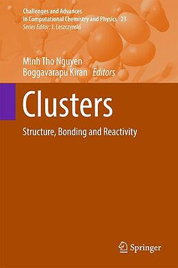 E-Book (pdf) Clusters von 