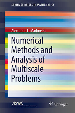 Kartonierter Einband Numerical Methods and Analysis of Multiscale Problems von Alexandre L. Madureira