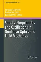 E-Book (pdf) Shocks, Singularities and Oscillations in Nonlinear Optics and Fluid Mechanics von 