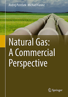 Fester Einband Natural Gas: A Commercial Perspective von Michael Karasz, Andrej Pusti ek