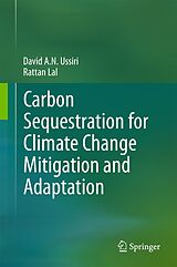 eBook (pdf) Carbon Sequestration for Climate Change Mitigation and Adaptation de David A. N. Ussiri, Rattan Lal