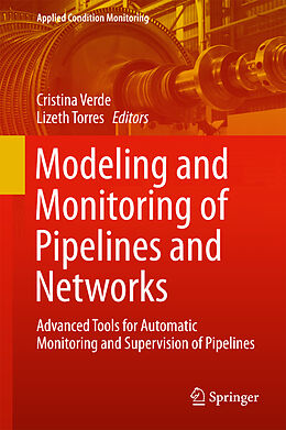 Fester Einband Modeling and Monitoring of Pipelines and Networks von 